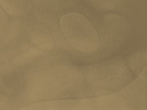 如何用搜索引擎广告做产品推广